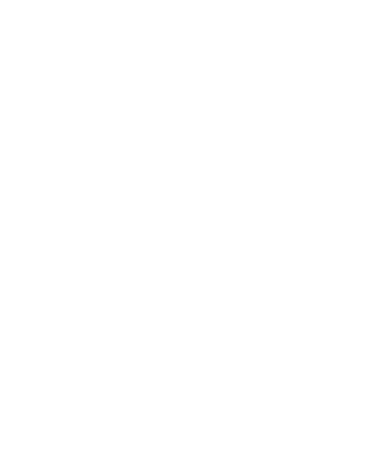 symfony logo